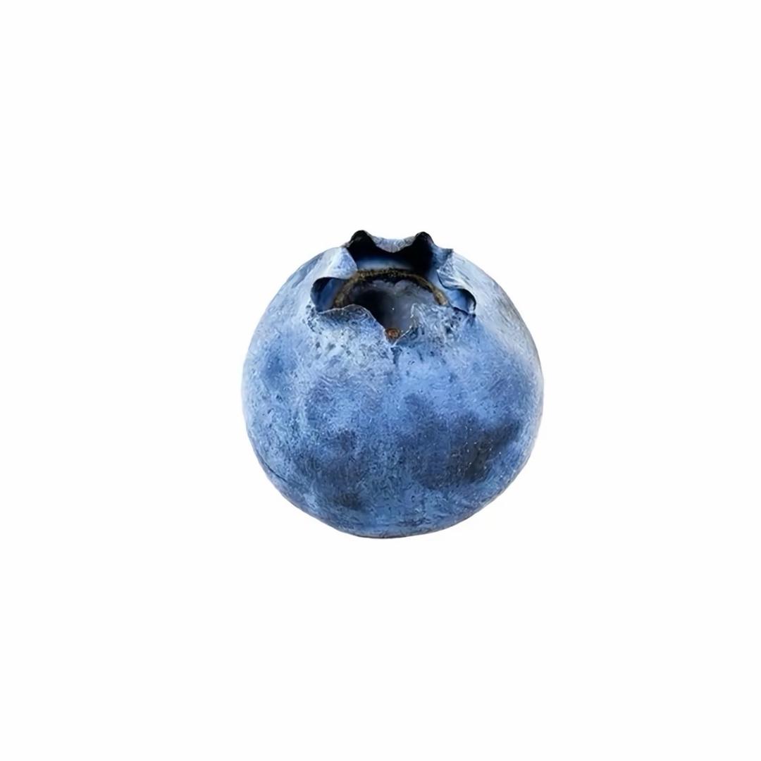 去年高招