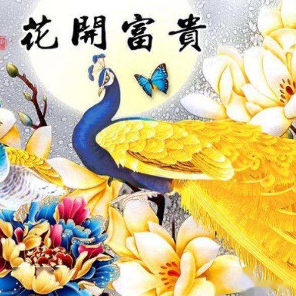 坤妈妈