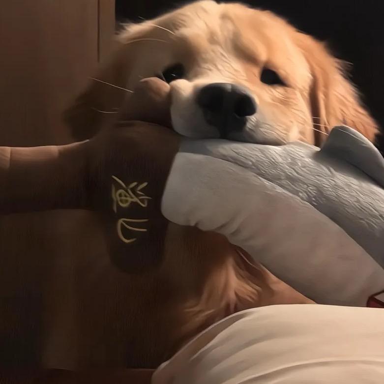 麻辣鱼⁹²⁸⁸