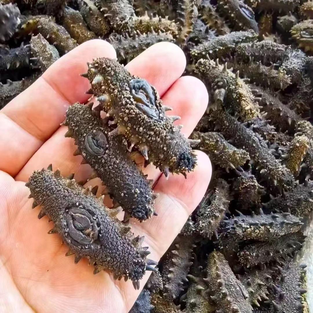 天之吉商贸