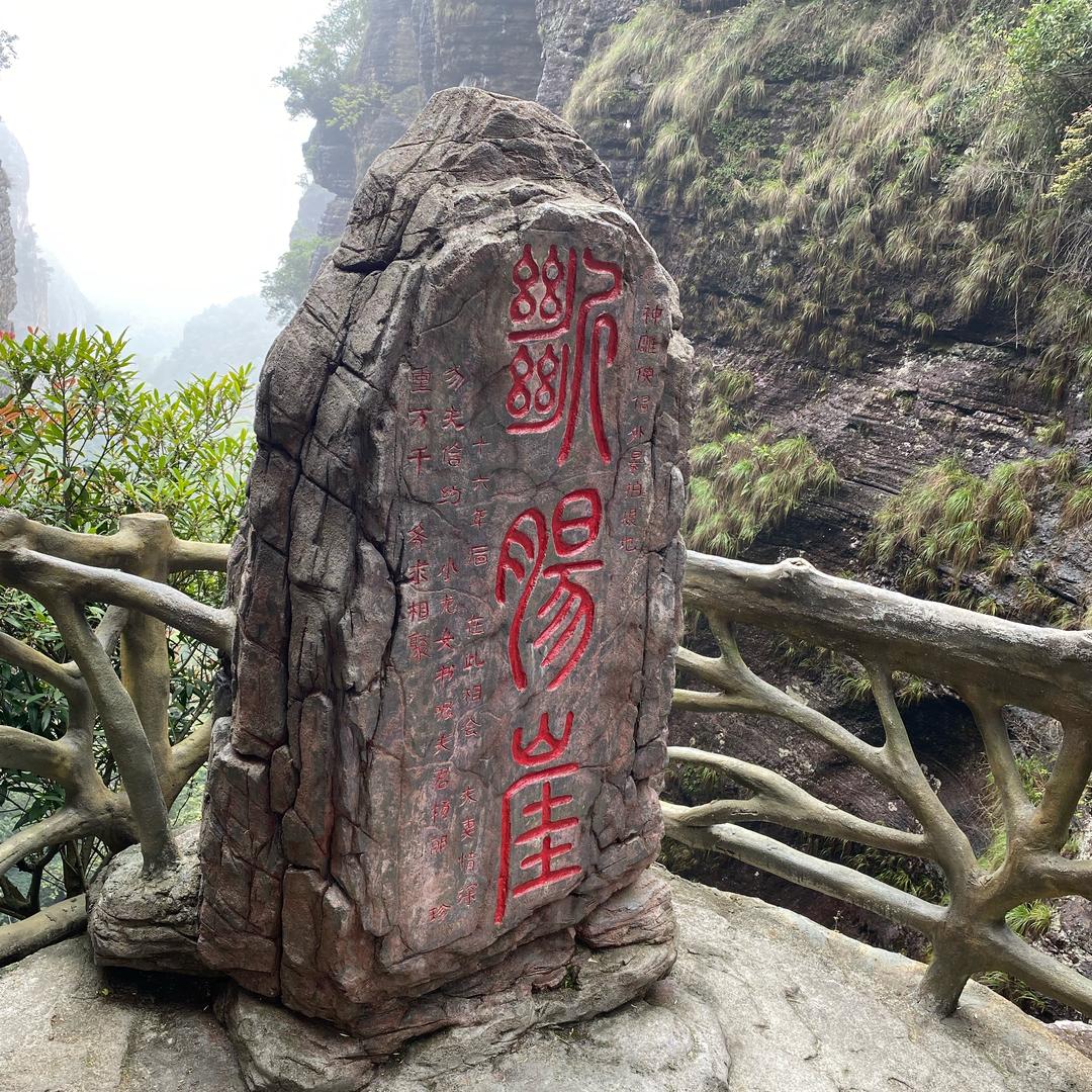 左手