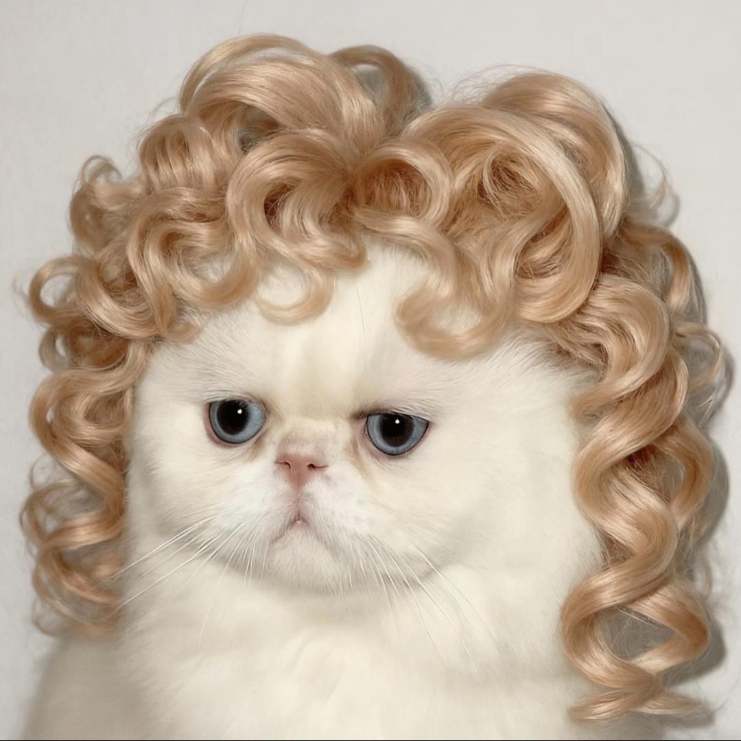 今天又没睡醒🌾