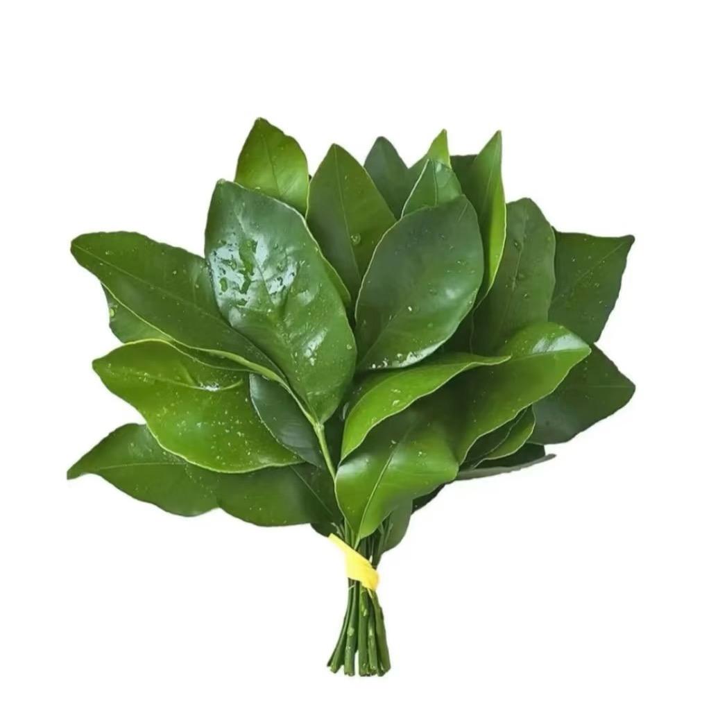 糖炒板栗