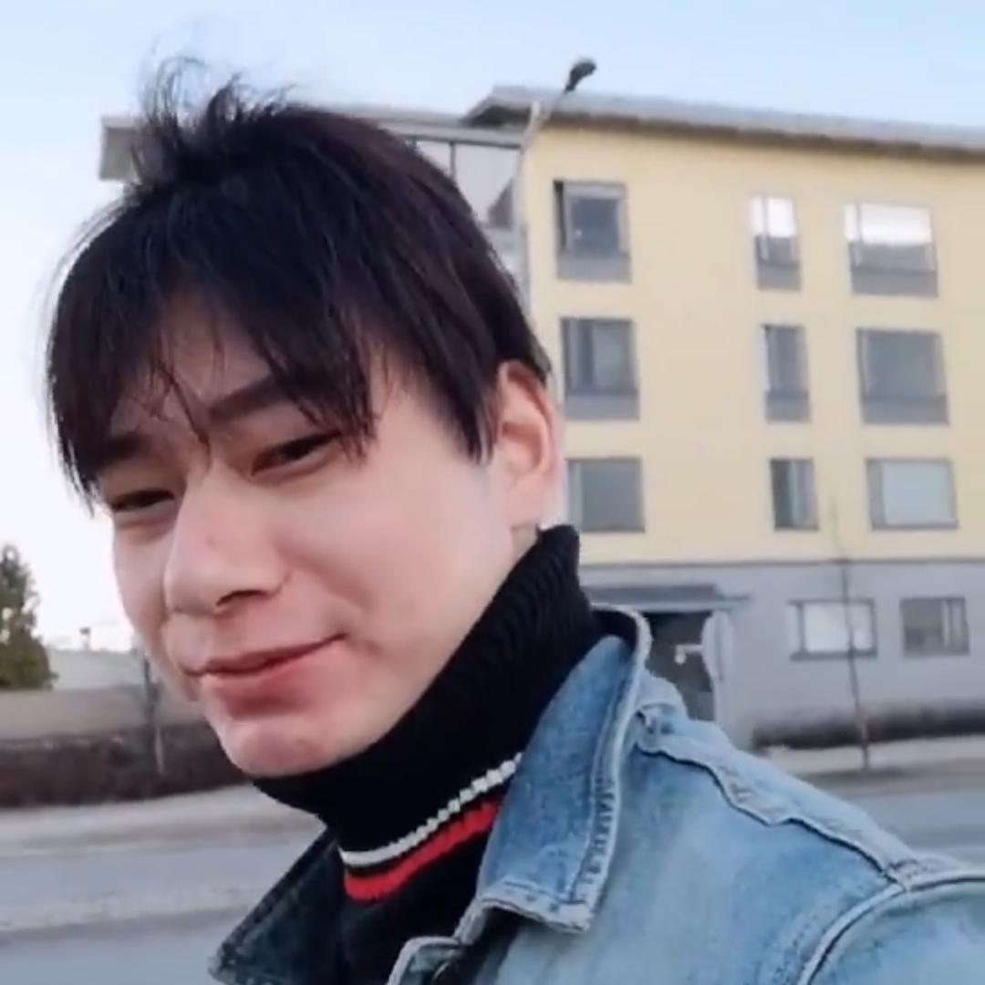 芬兰英仔