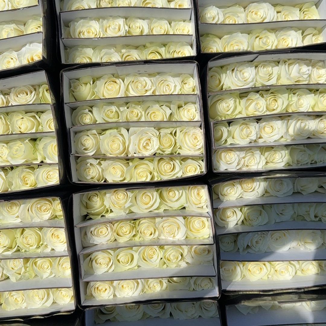 昆明芳利鲜花批发1