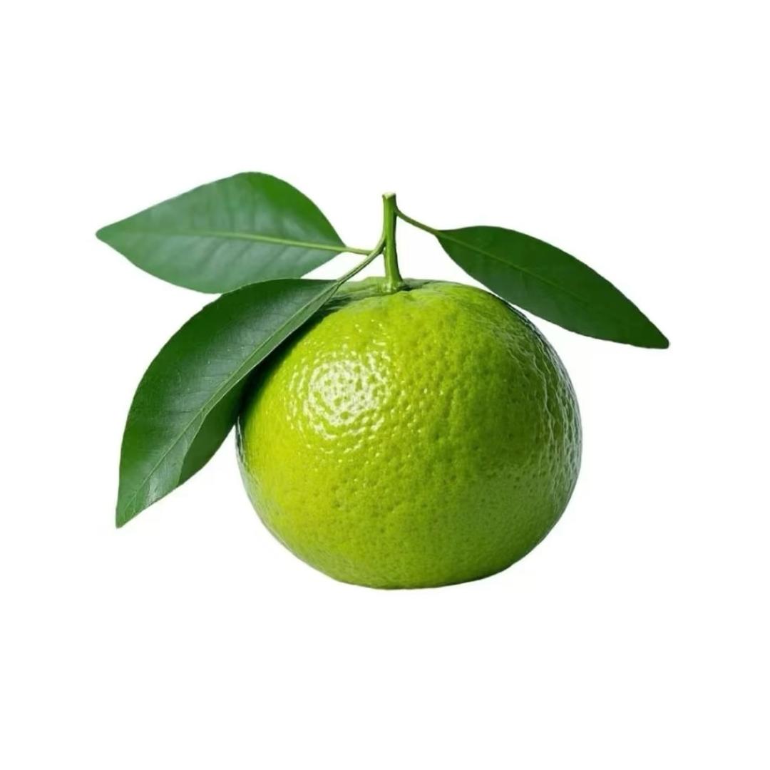 捞只小泽.（关必茴）