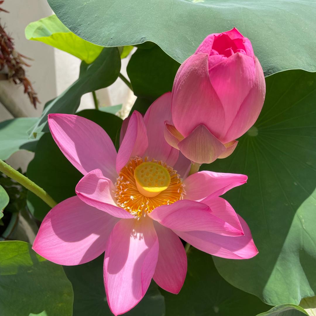 威海尚依服装工作室