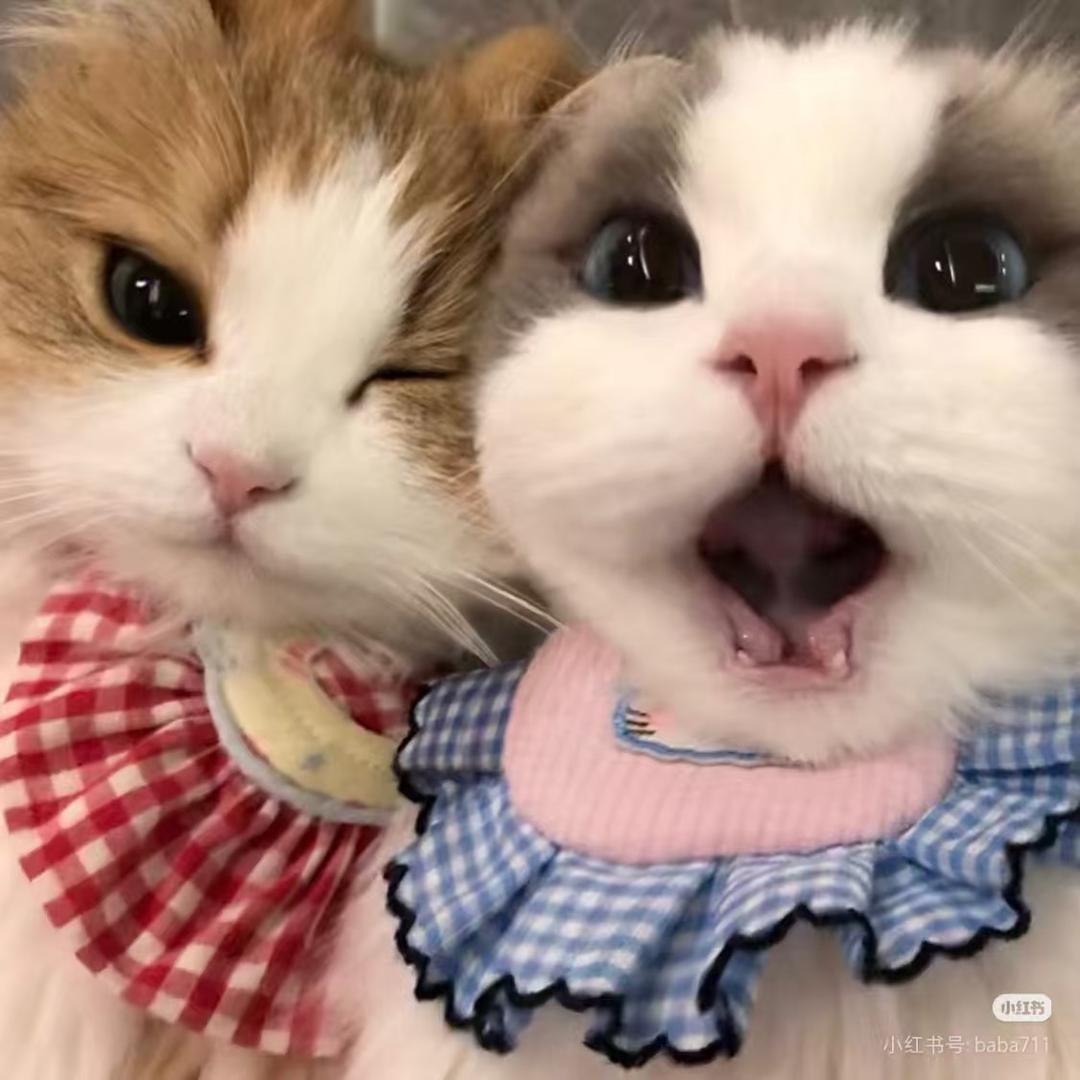 幼专通信情报局