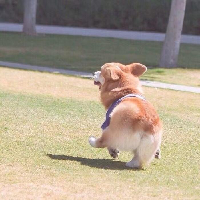杰瑞
