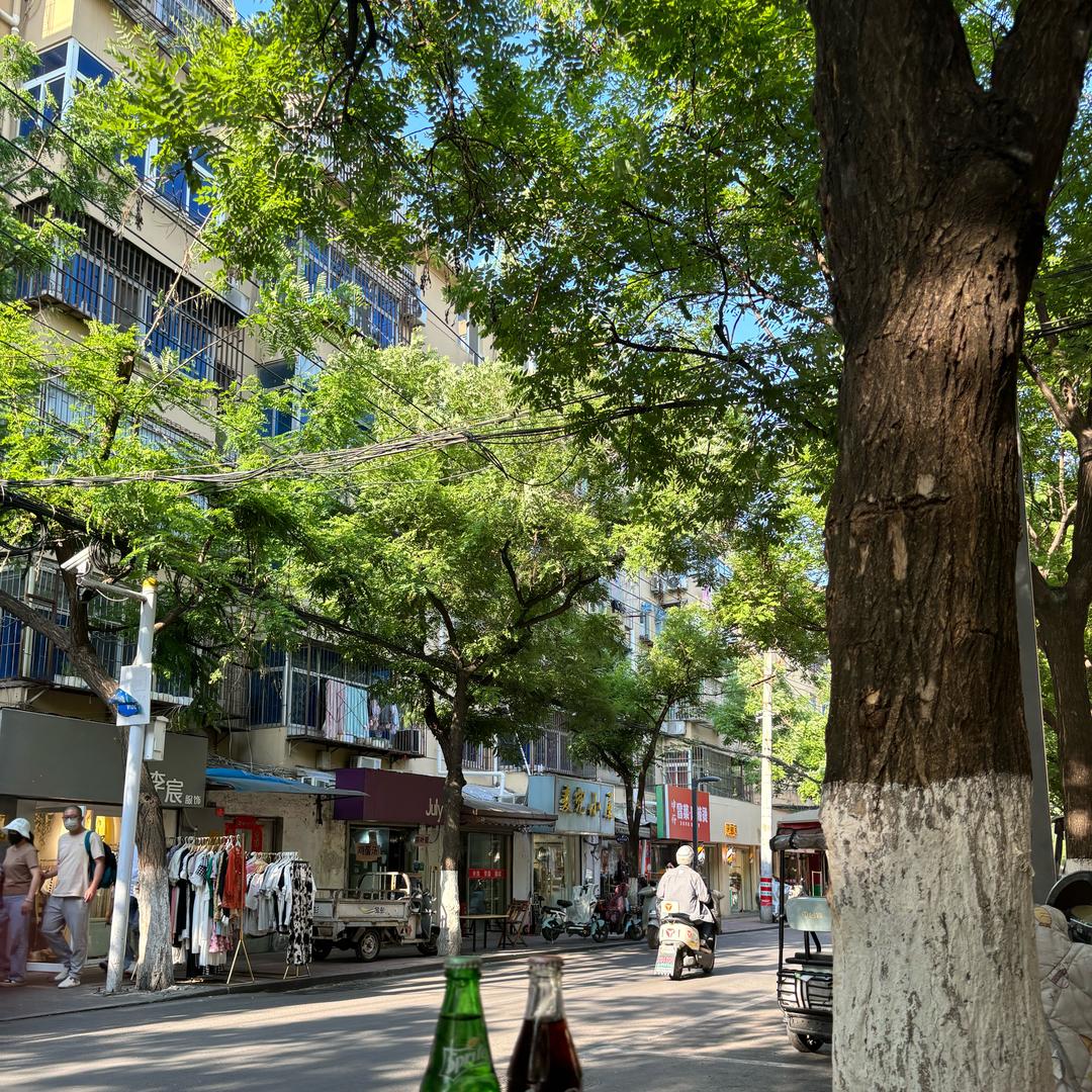 小狐狸在减肥呢