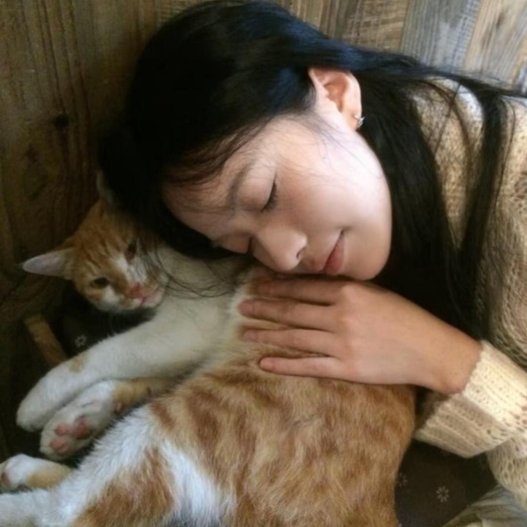 你抹去的泪