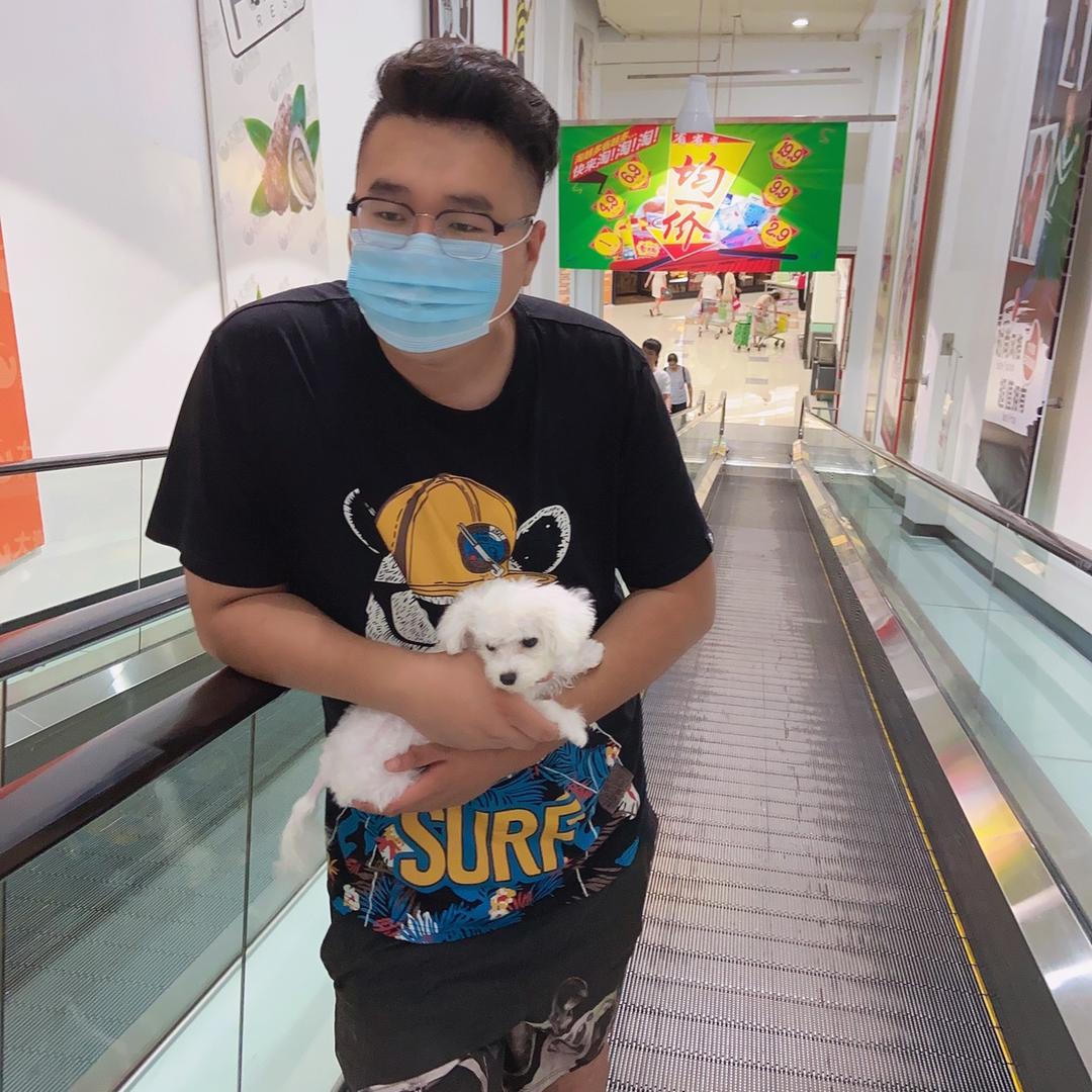 沈阳房产大黄