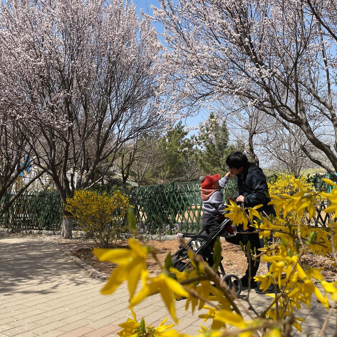 刘丫捷
