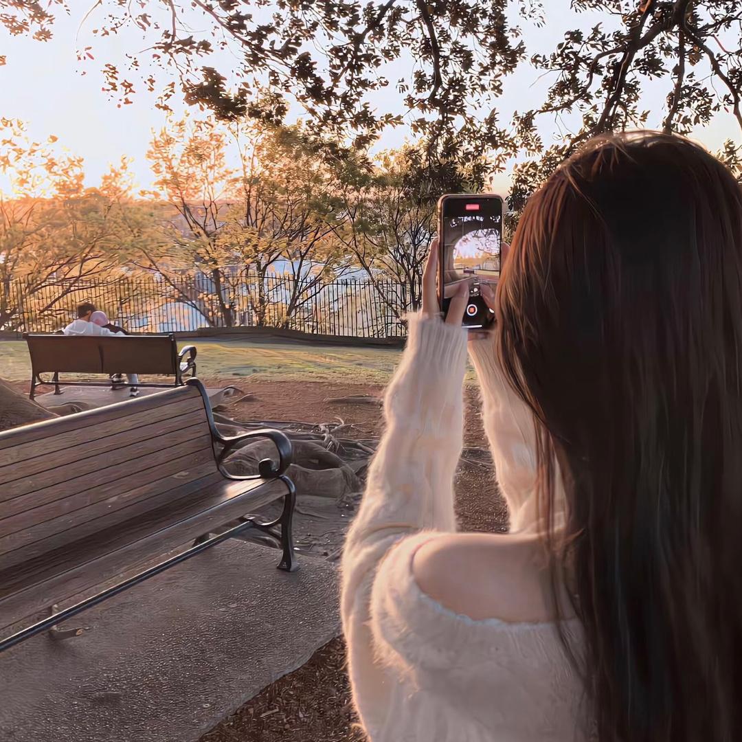 🍁枫