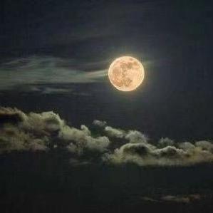 亚丹家居+简匠装饰