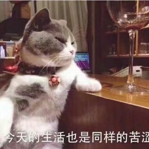 Dypw小河流水