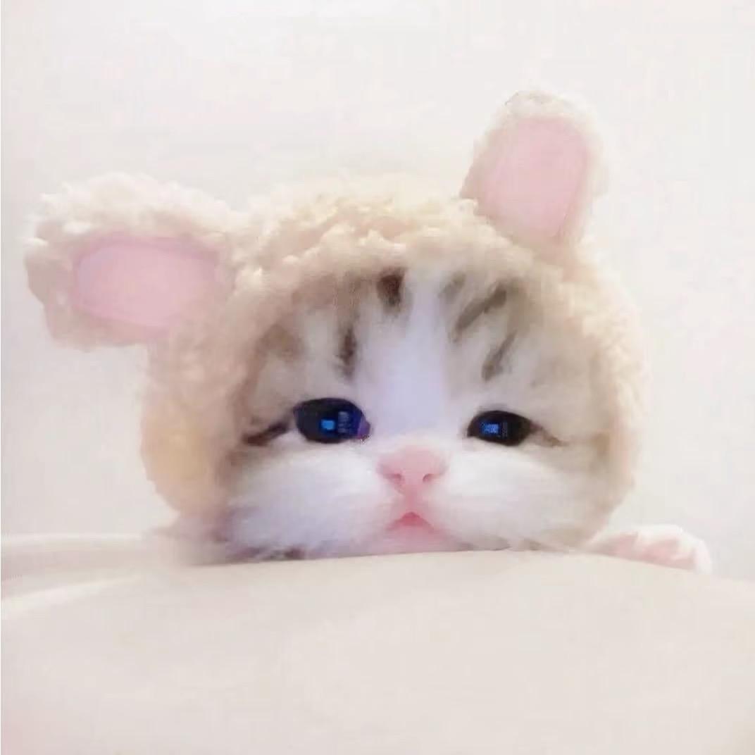 =软ω软=