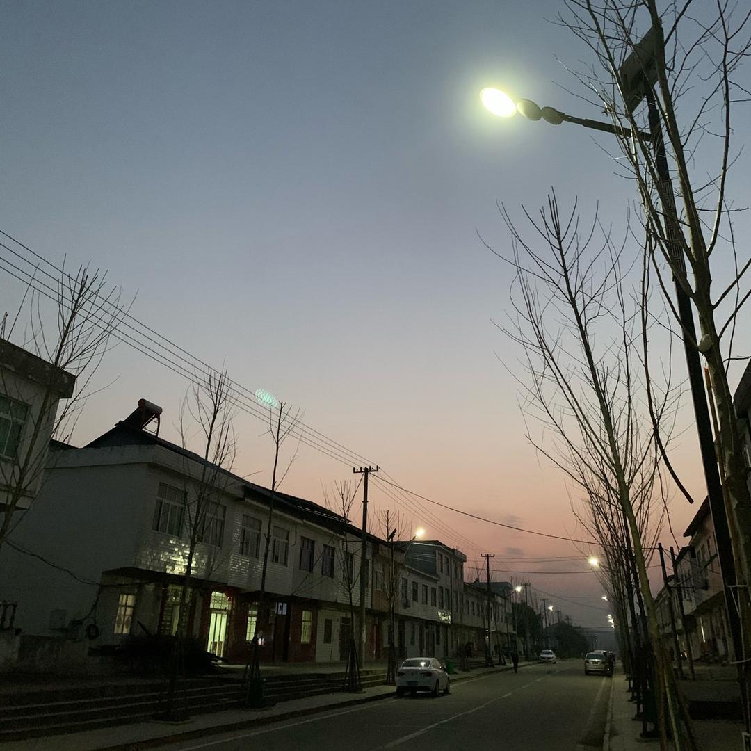 大屋角北瓜