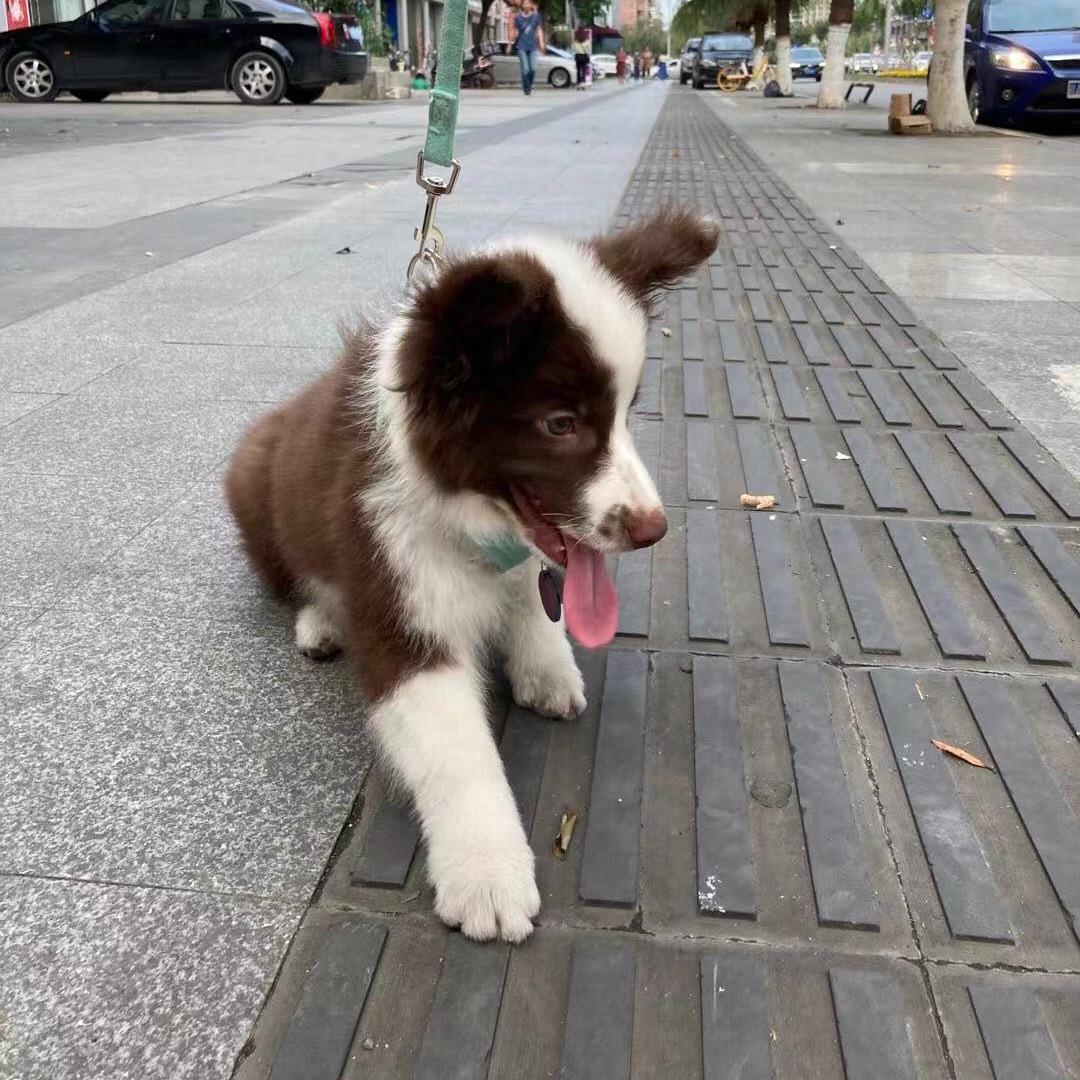 Happy是真的皮🤷‍♀️
