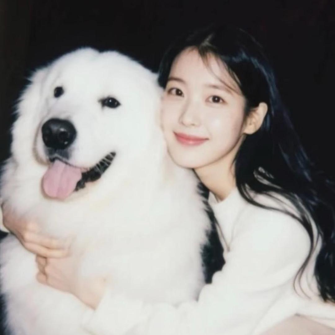 ㅤㅤ🐑