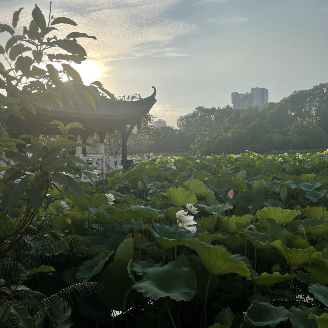 好好好好好！