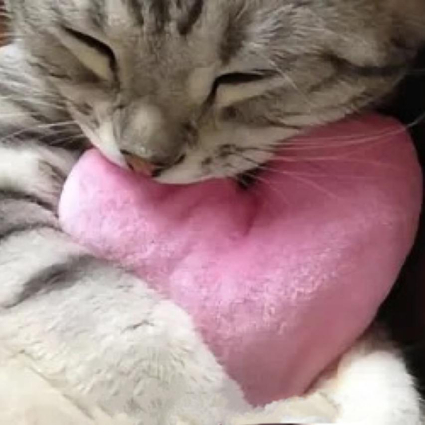 芝麻汤圆王