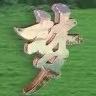寻梦