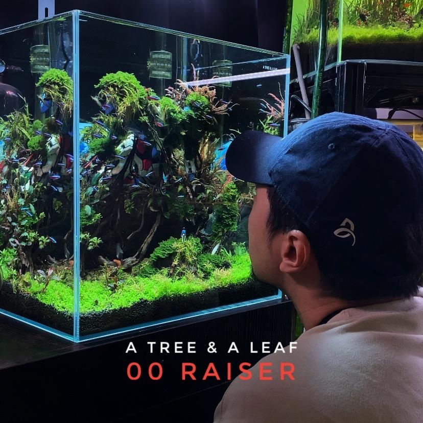 一木一叶造景-老李@抖音