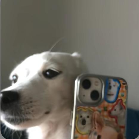 记得给我打电话