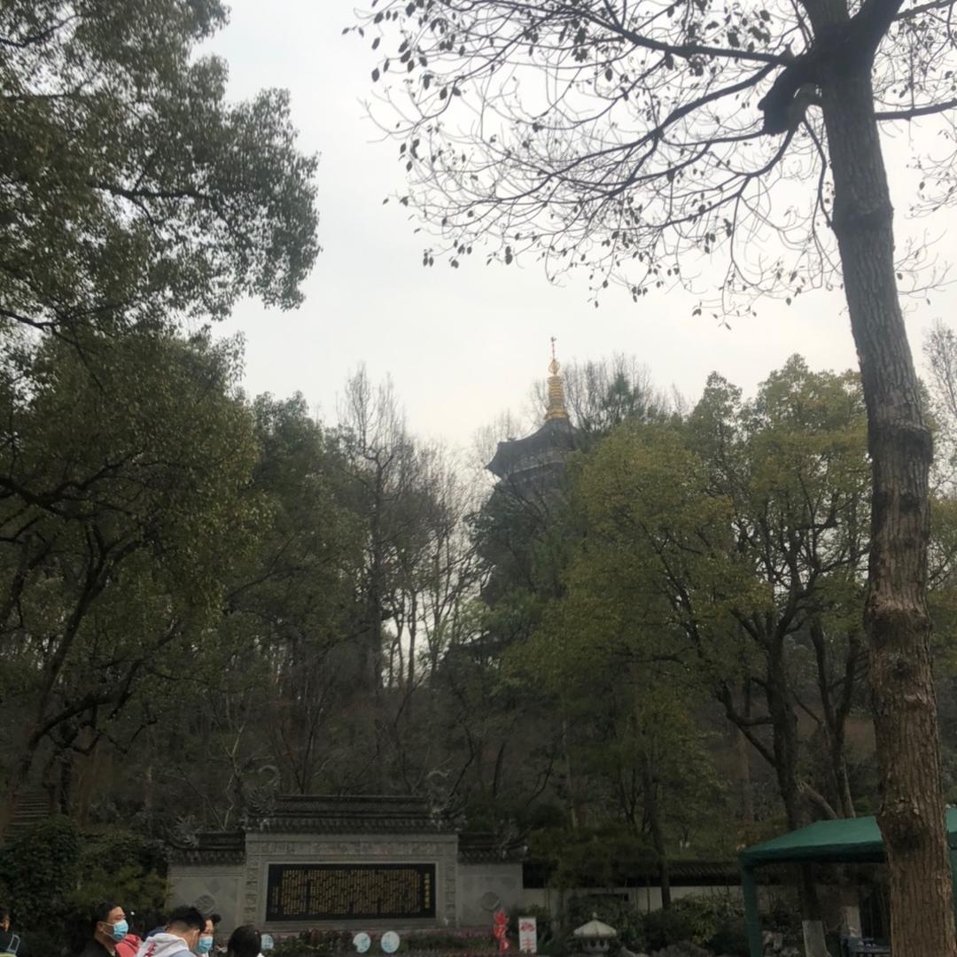 水汪汪