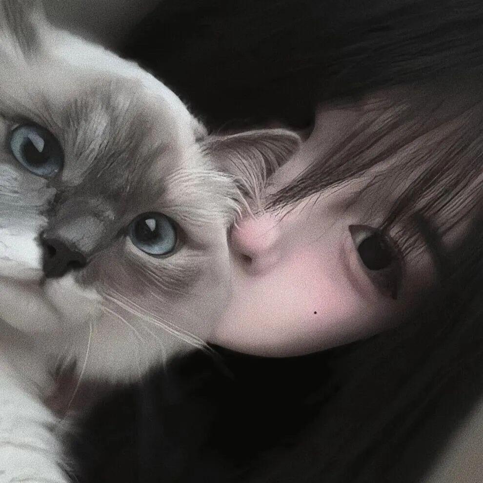 哼哼😾