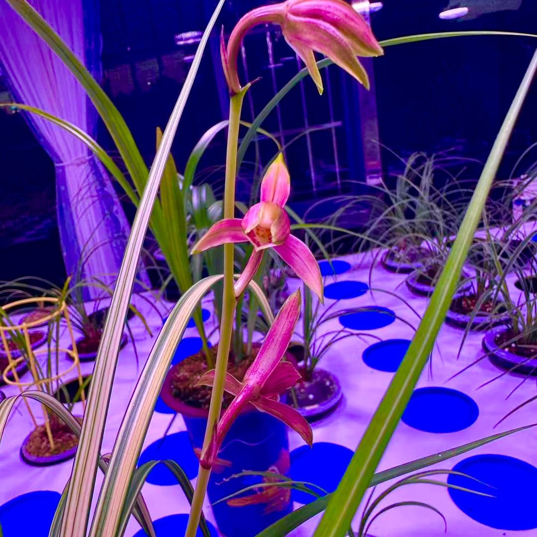 尚世兰苑/浦主任