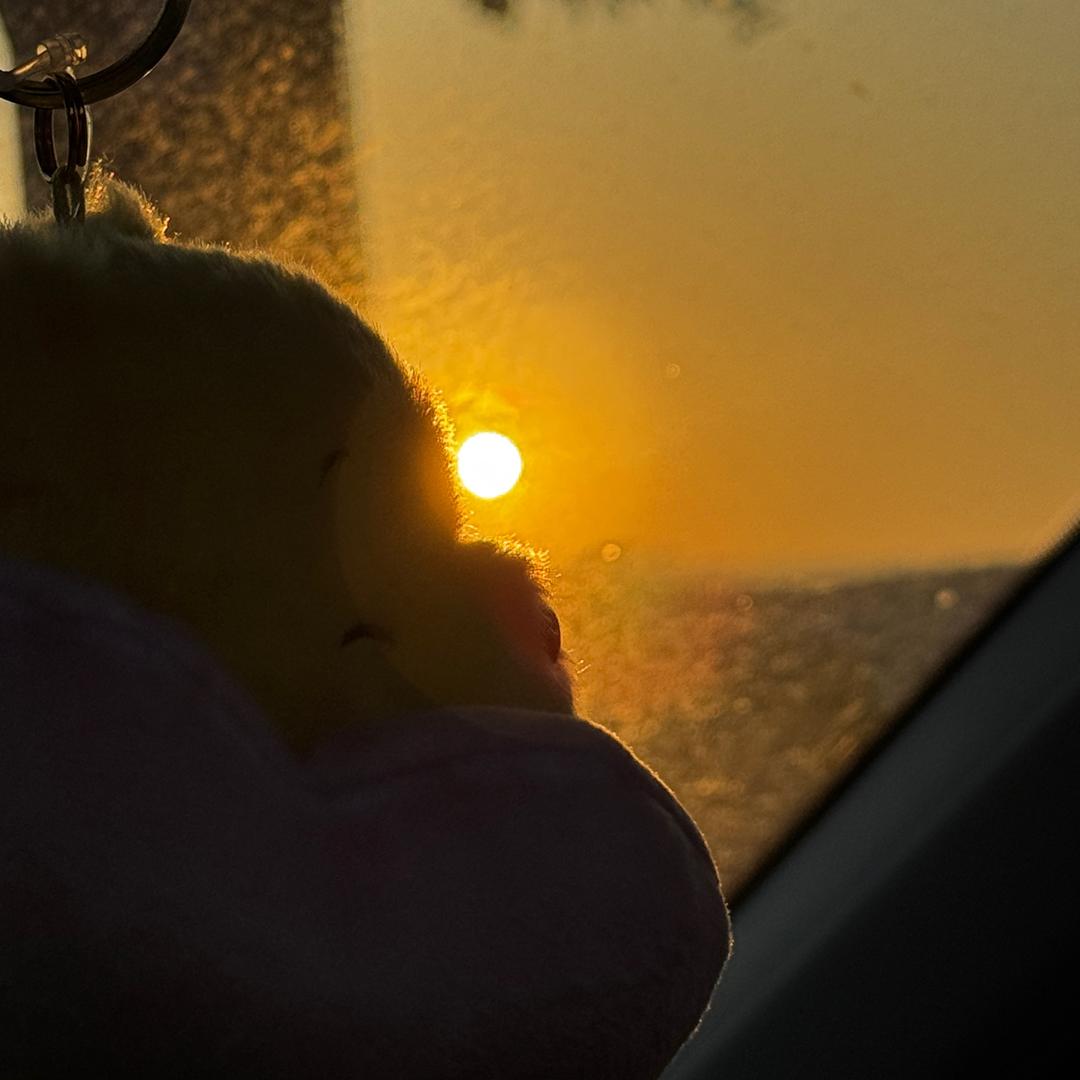 什么是没有后视镜的