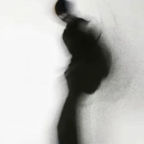 ㅤㅤㅤㅤㅤㅤㅤㅤㅤㅤㅤㅤㅤㅤㅤㅤㅤㅤㅤw