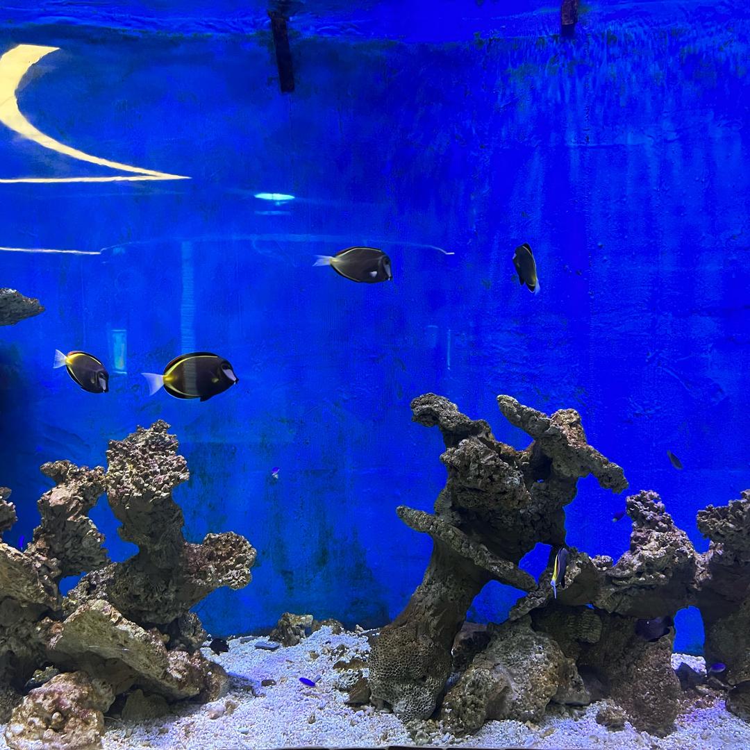 速算思维详解
