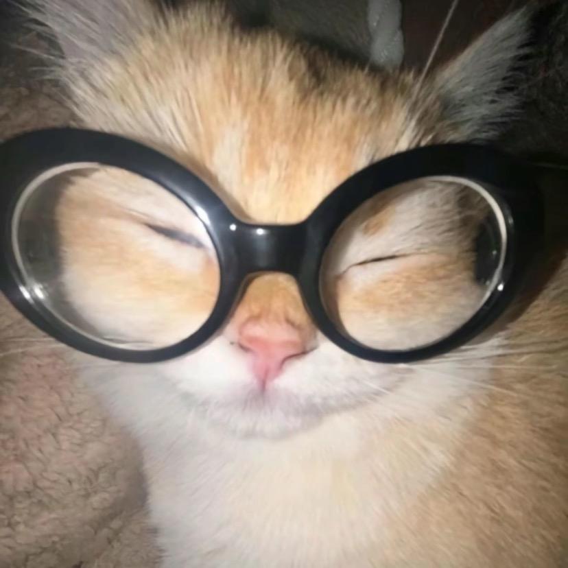 +1