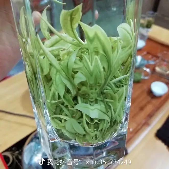 ☘️  徐家二姐姐☘️橱窗