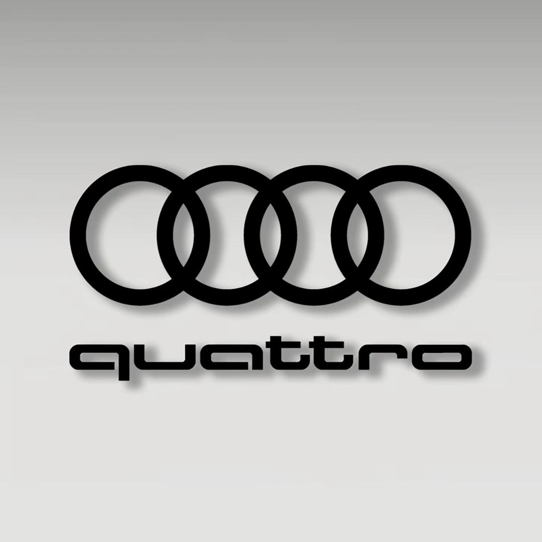 Audi奥迪A6L
