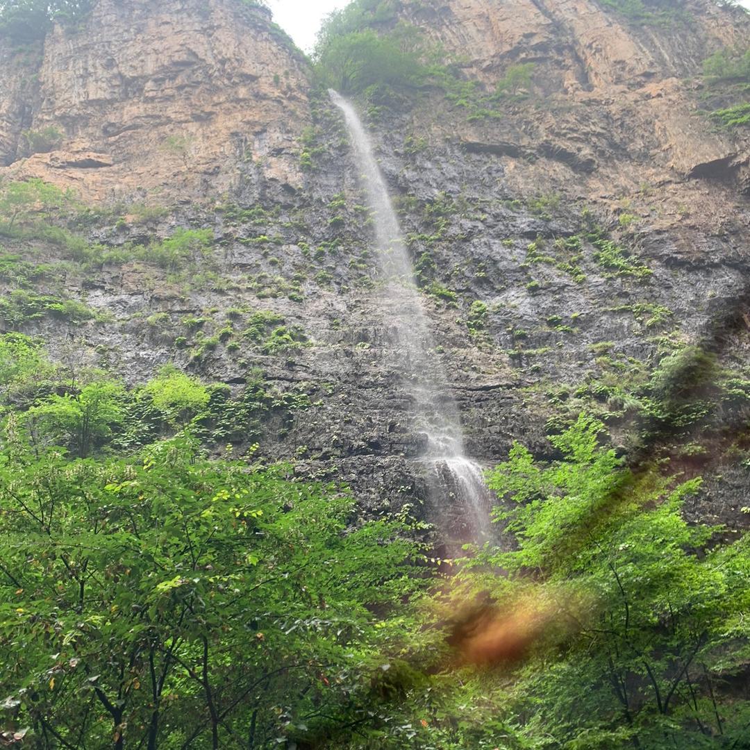 知遇哥 首播