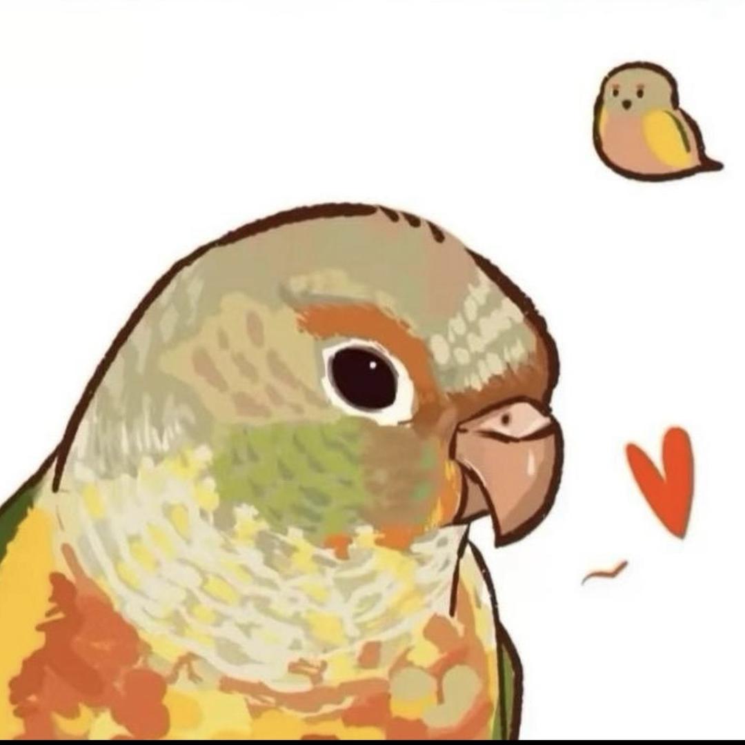 小林的鱼房蝴蝶鲤