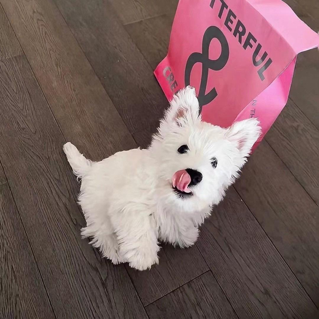 别说永远
