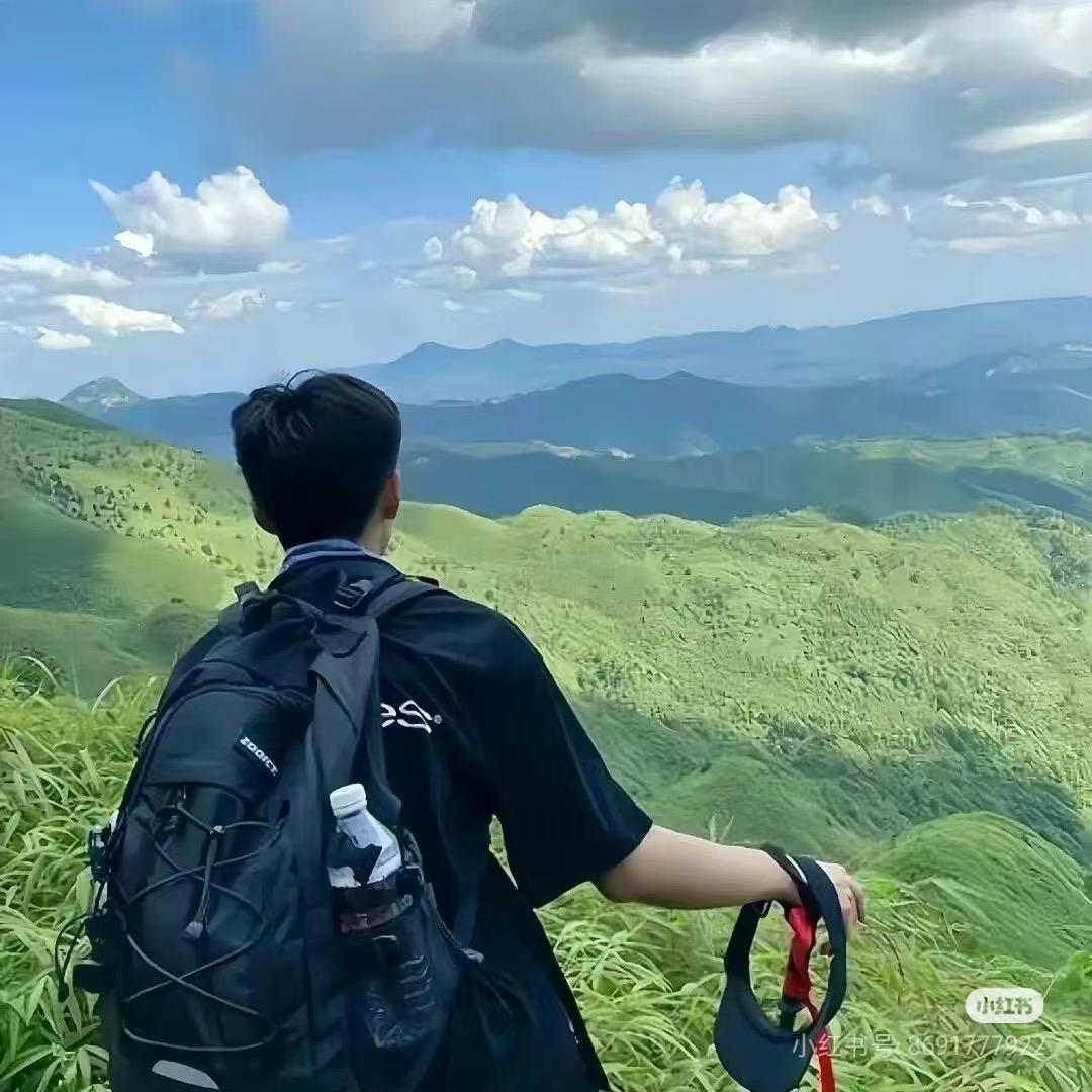 奇哥首播