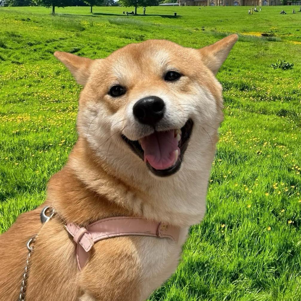 一个人的自我拉扯@抖音