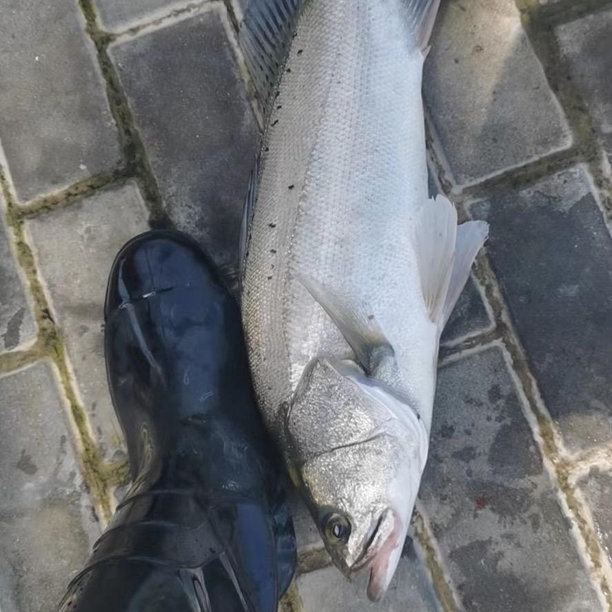 路得飚路亚户外