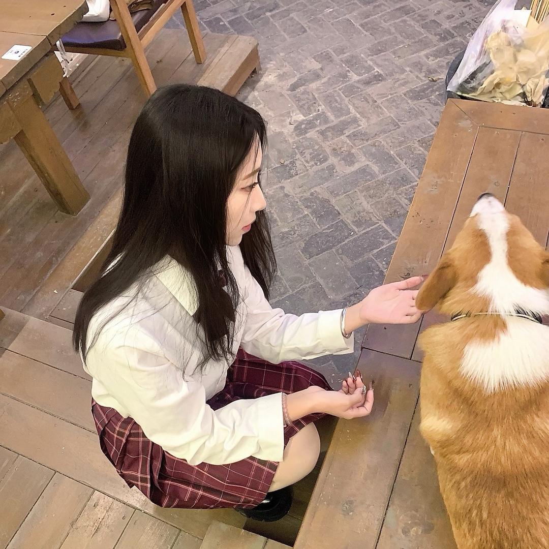 阿金在不在🐾