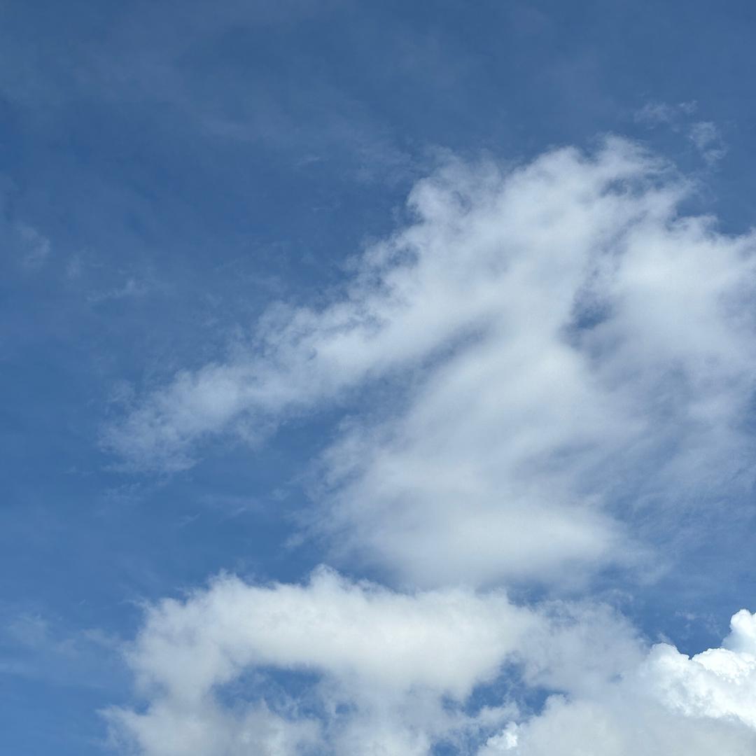 逝去的青春