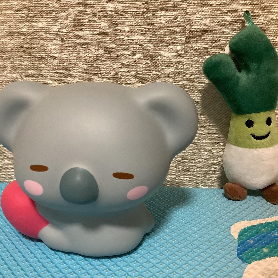 樹熊