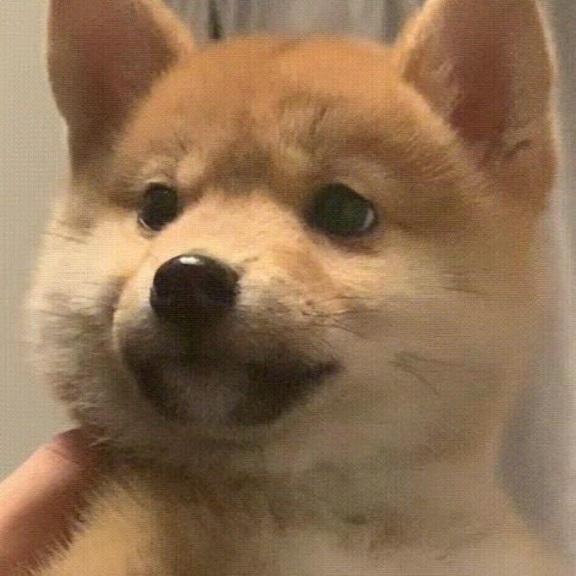 (눈‸눈)