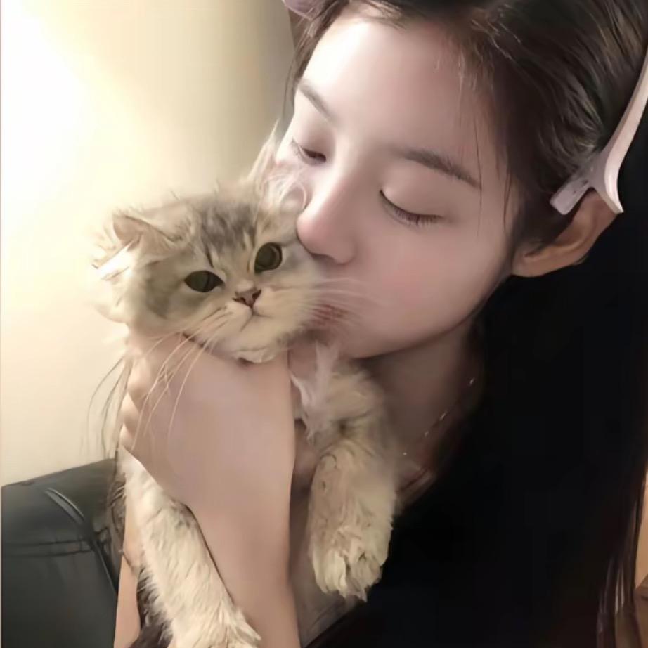 李77