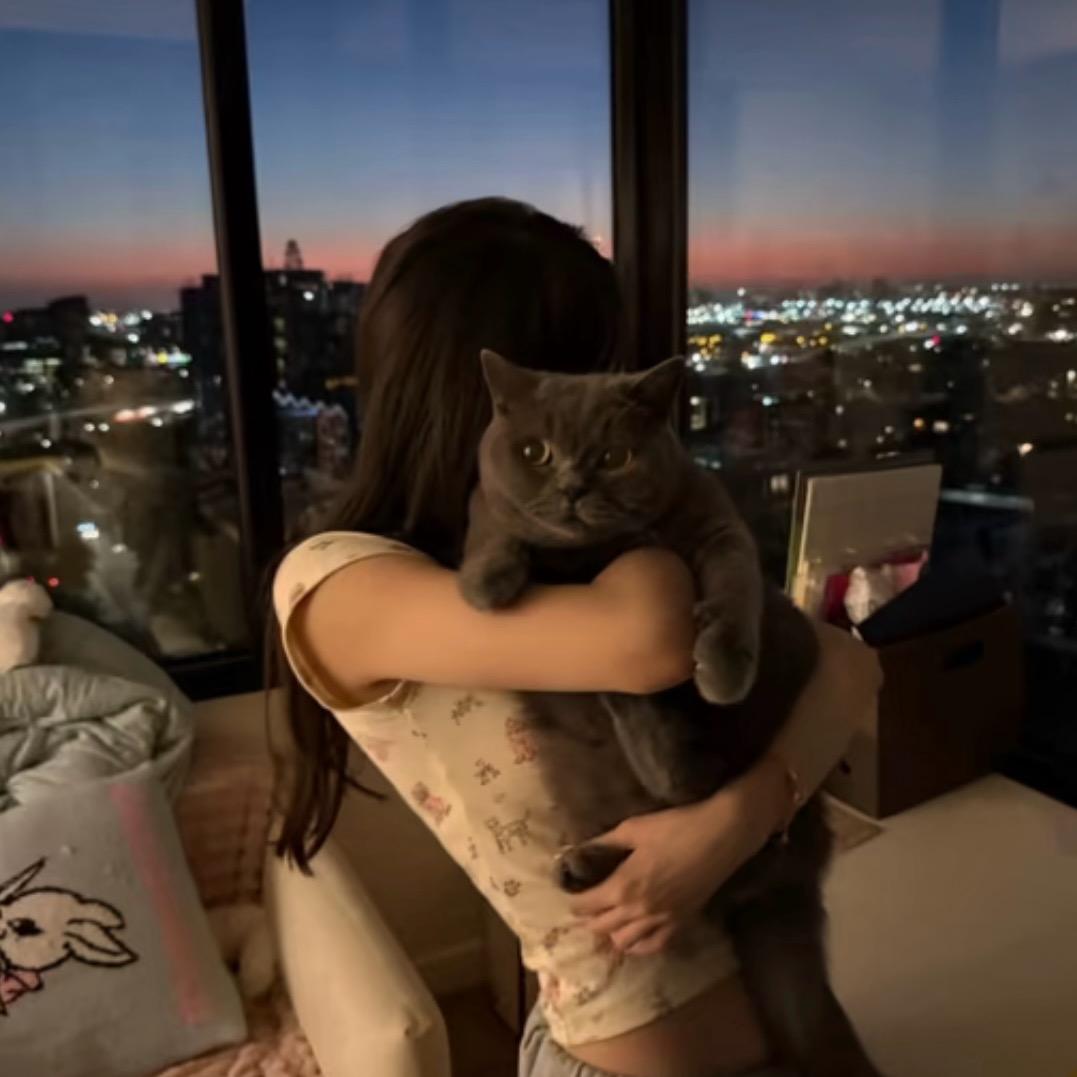 小彤 ㅤㅤㅤㅤㅤㅤㅤㅤ